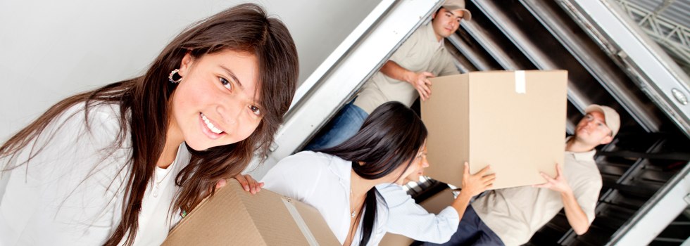 Professional Removalists Willow Vale QLD